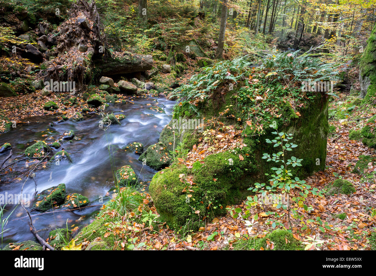 Wilden Bergfluss Mühle im Herbst Boulder in der Nähe von Młoty unteren Schlesien Polen Stockfoto