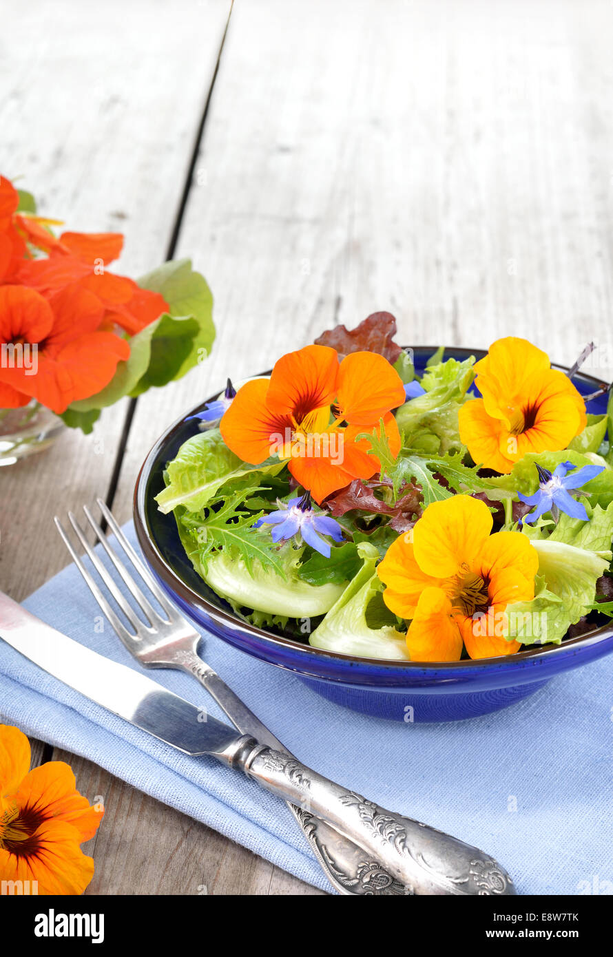 Frischer Sommersalat mit essbaren Blüten Kapuzinerkresse, Borretsch-Blüten in eine Schüssel geben. Exemplar. Stockfoto