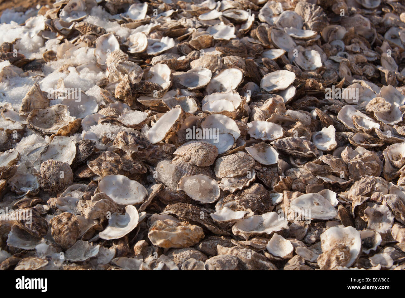 Whitstable Kent Stockfoto