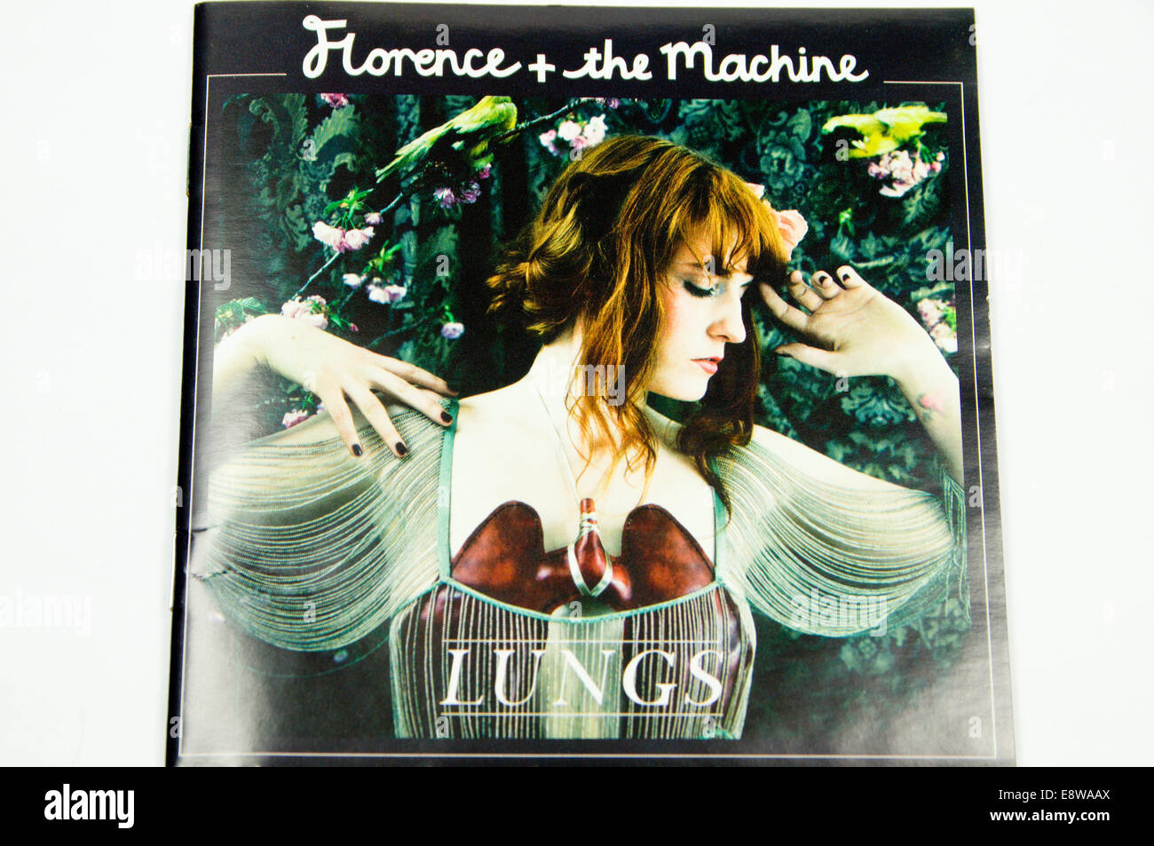 Florenz und die Maschine Lunge Album, CD-Rom. Stockfoto