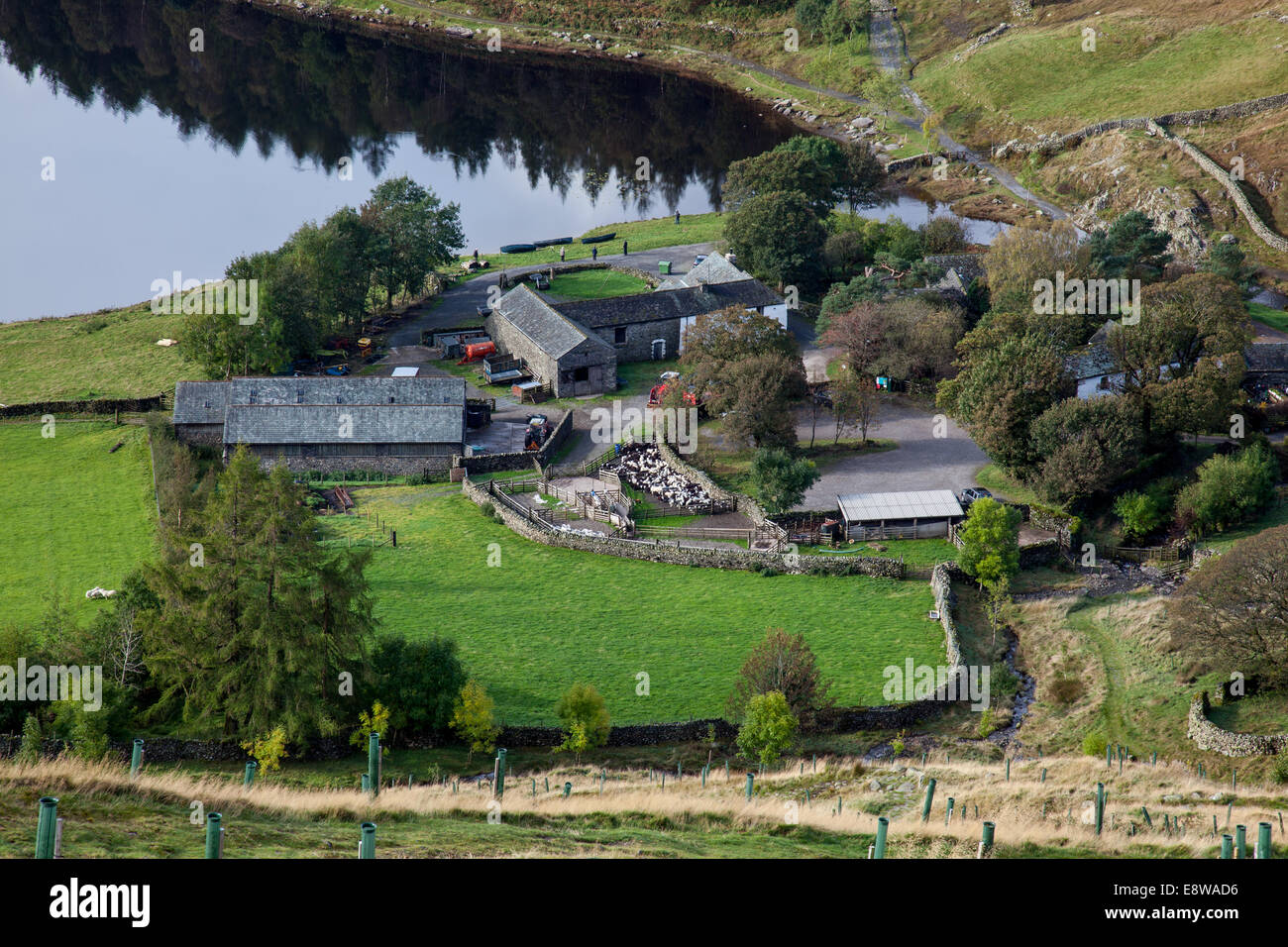 Watendlath Farm und Tarn aus den unteren Flanken des hohen Tove, Lake District, Cumbria Stockfoto