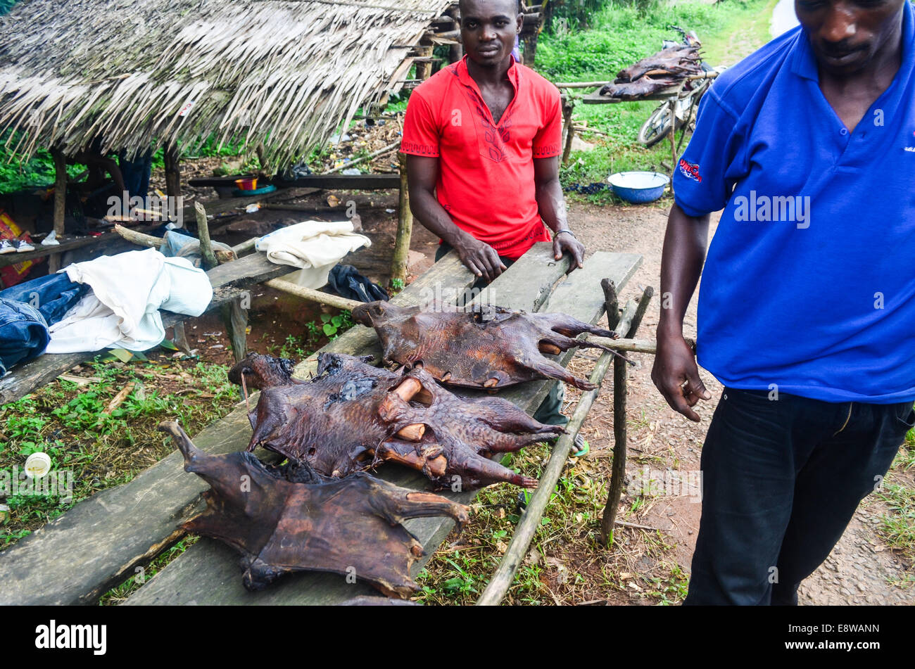 Nigerianische Männer Verkauf von Wildfleisch (meist Stachelschwein) auf der Straße in Cross River State, Nigeria Stockfoto