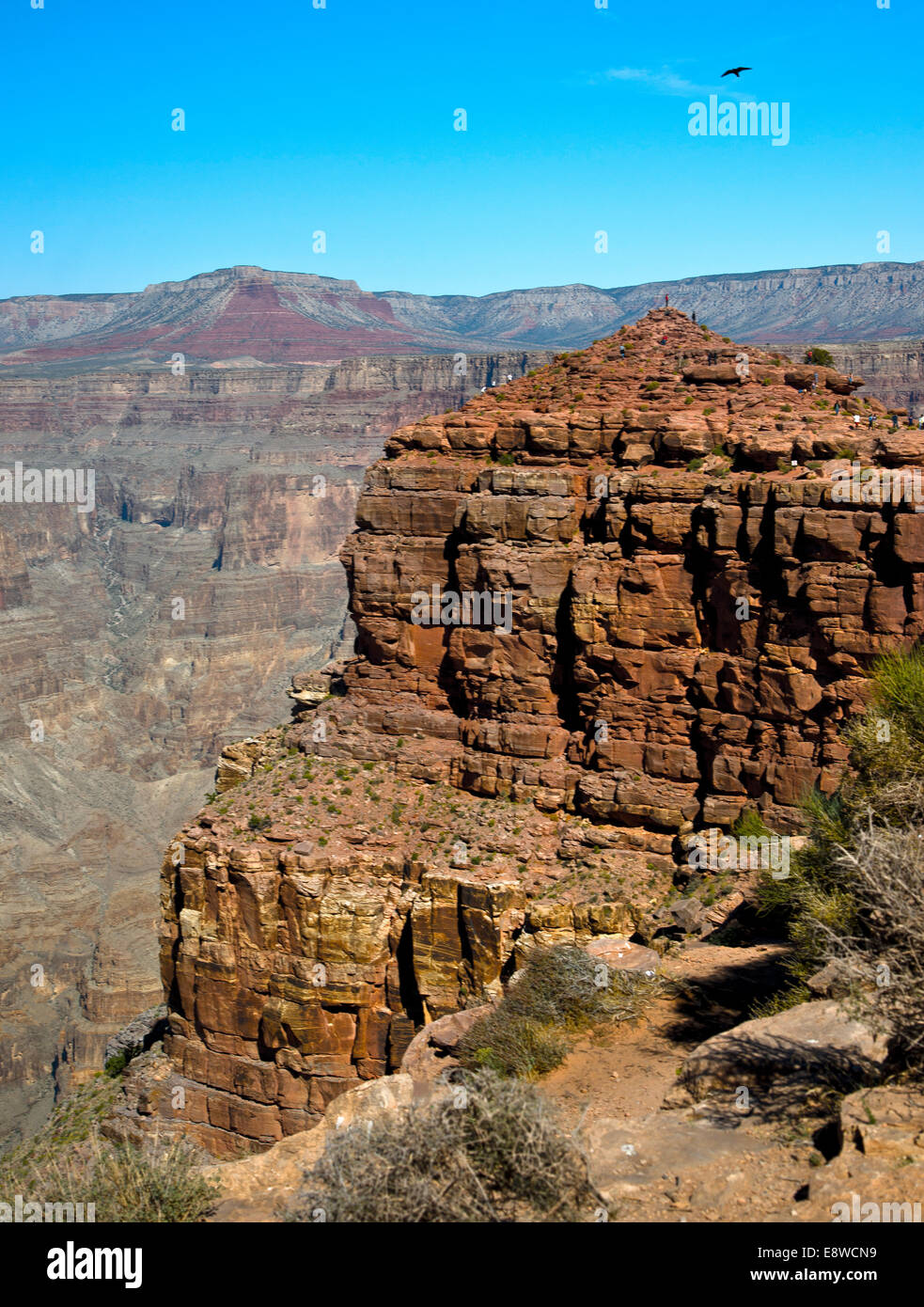 Colorado Grand Canyon Stockfoto