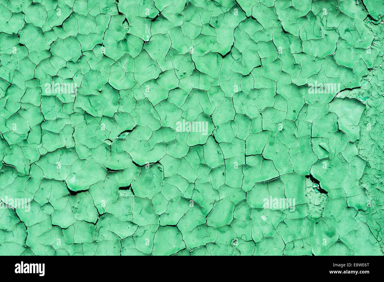 Knisterte grün malen Textur. Alt und verwittert und knisterte Oberfläche grün lackiert Stockfoto