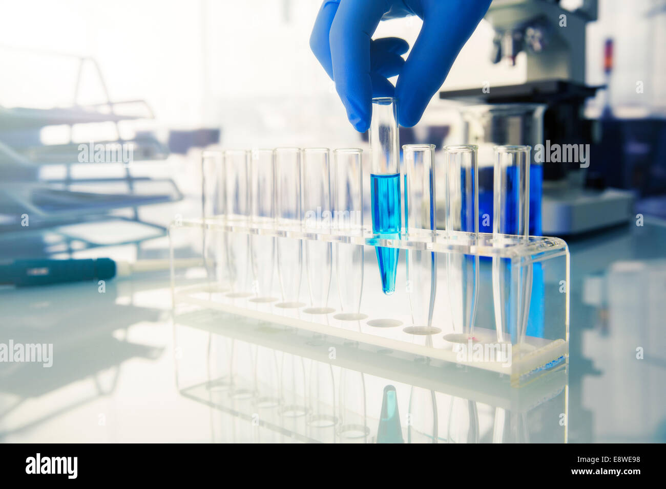 Wissenschaftler setzen Reagenzglas mit Lösung im Rack im Labor Stockfoto