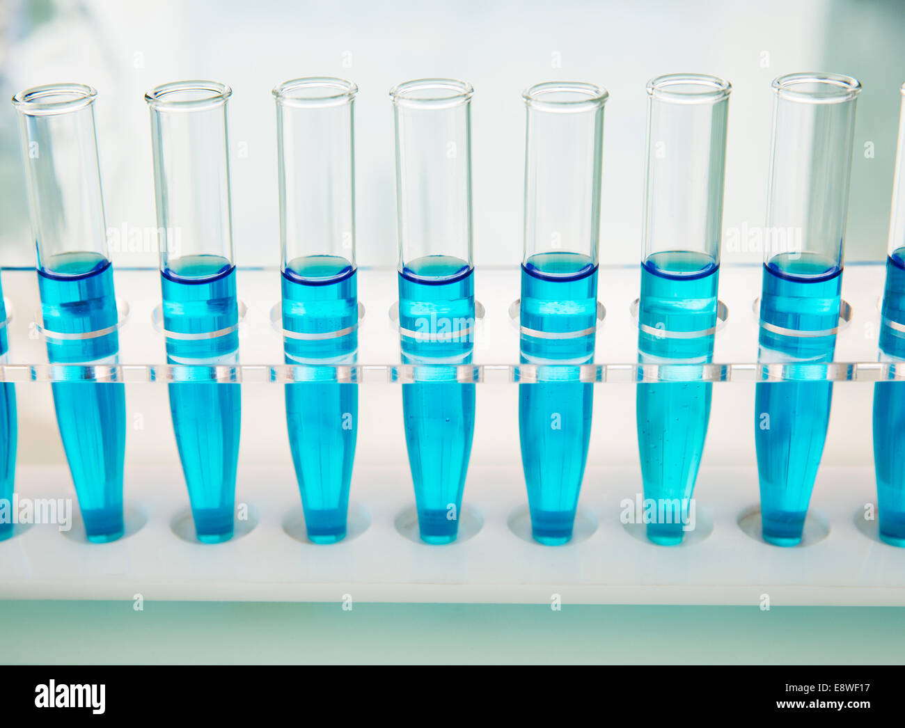 Rack-Reagenzgläser mit Lösung auf Zähler im Labor Stockfoto