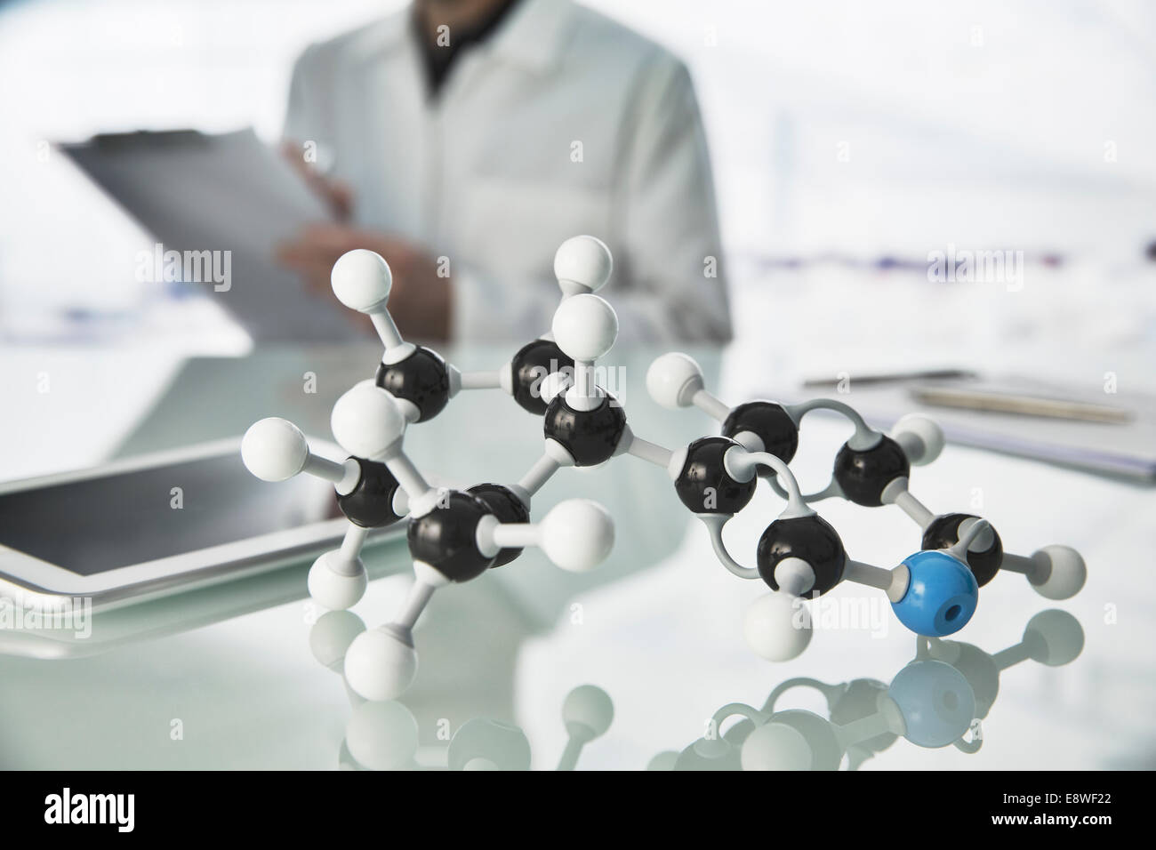 Wissenschaftler arbeiten mit Molekülmodell und digital-Tablette im Labor Stockfoto