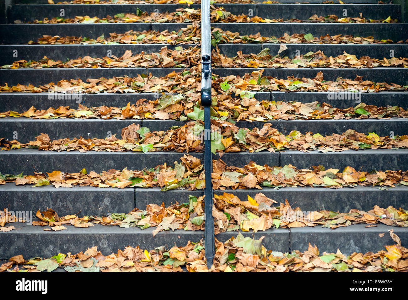 Blattmüll auf Stadthalle  Treppe mit Herbstlaub im Oktober in Liverpool, Merseyside, Großbritannien Stockfoto