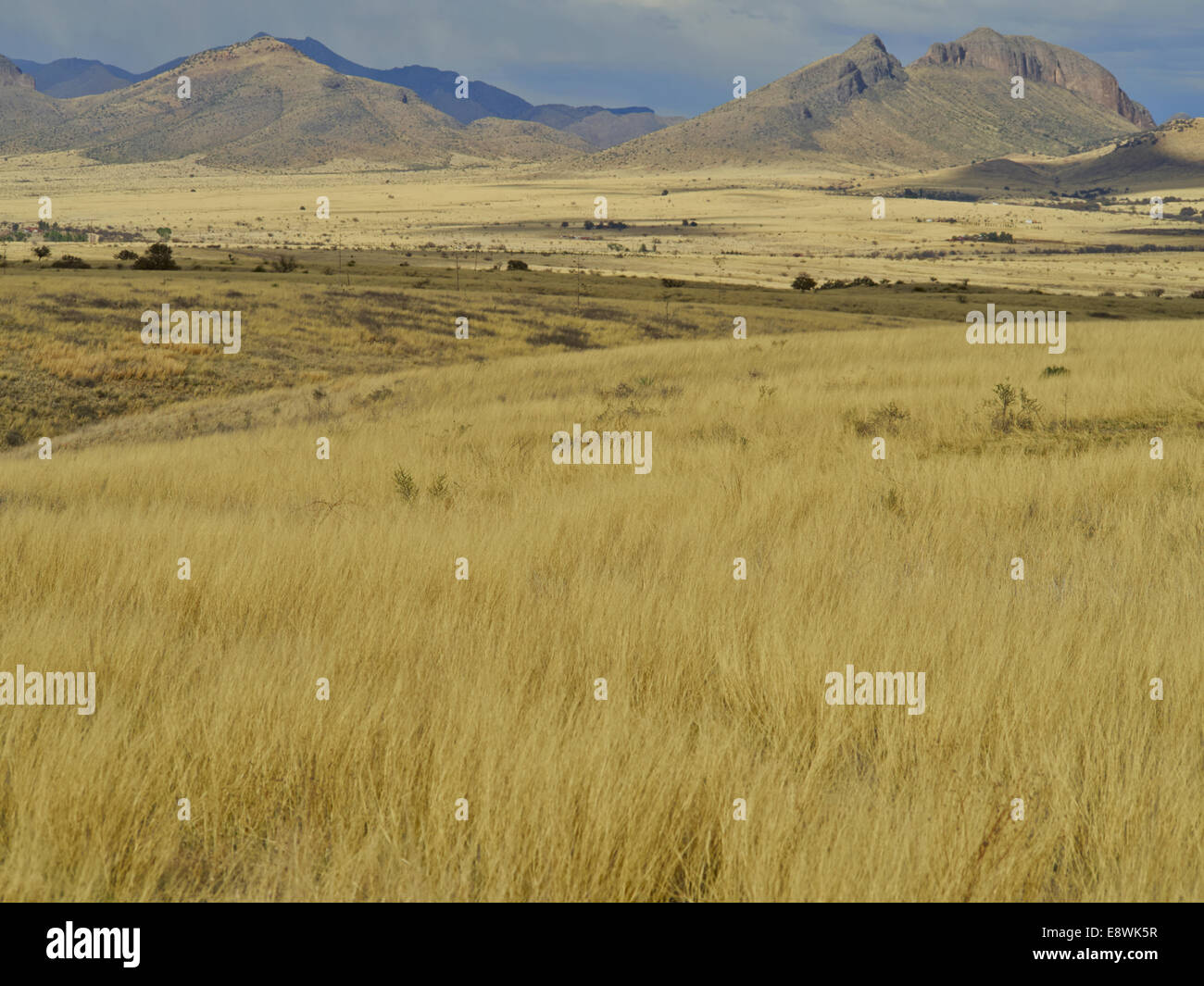 Grasslands Stockfotos und bilder Kaufen Alamy