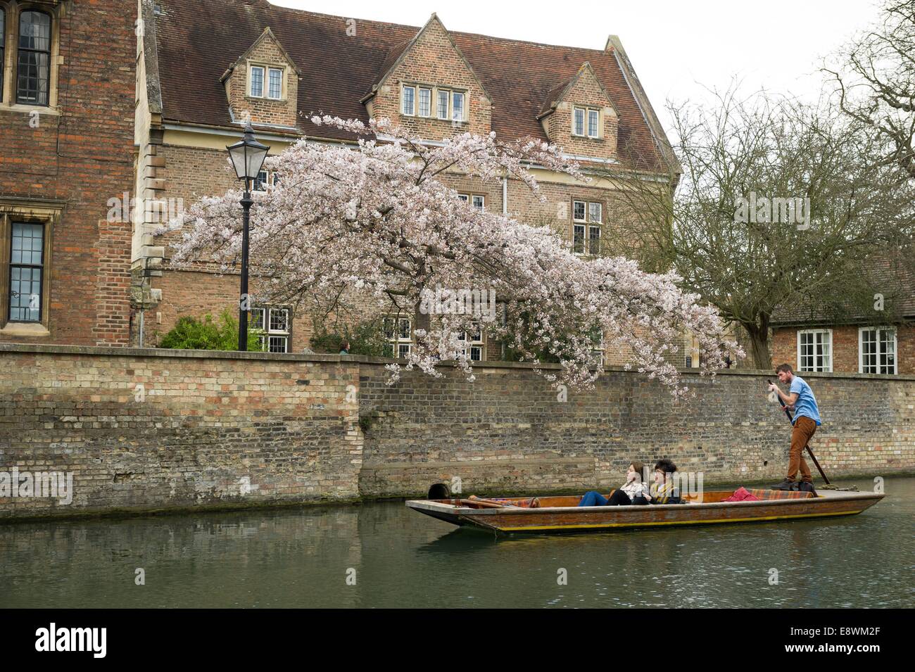 Leute da draußen Stechkahn fahren auf dem Fluss Cam in Cambridge an einem sonnigen Frühlingstag. 17. März 2014. Stockfoto