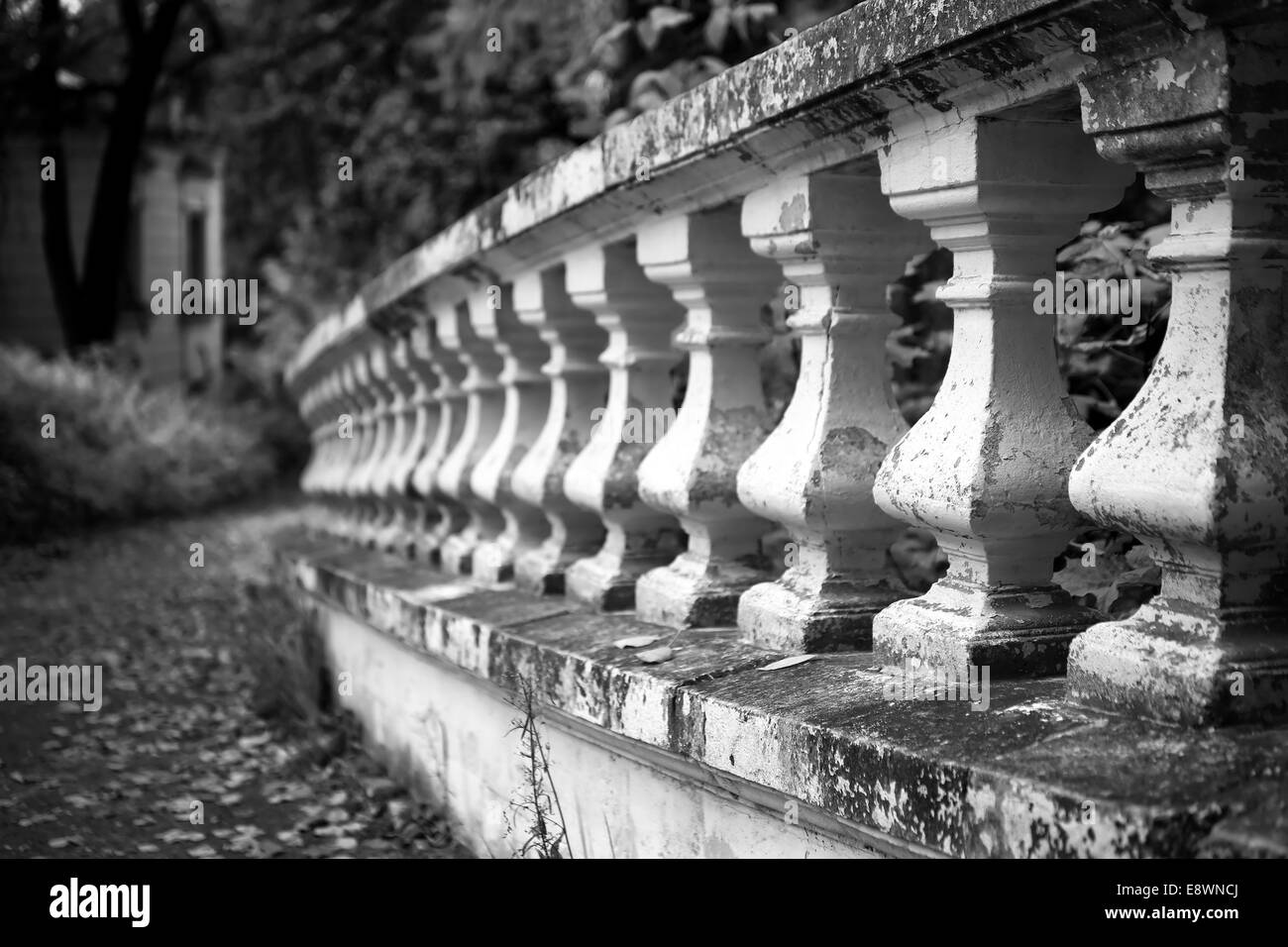 Alte steinerne Balustrade im Park closeup Stockfoto