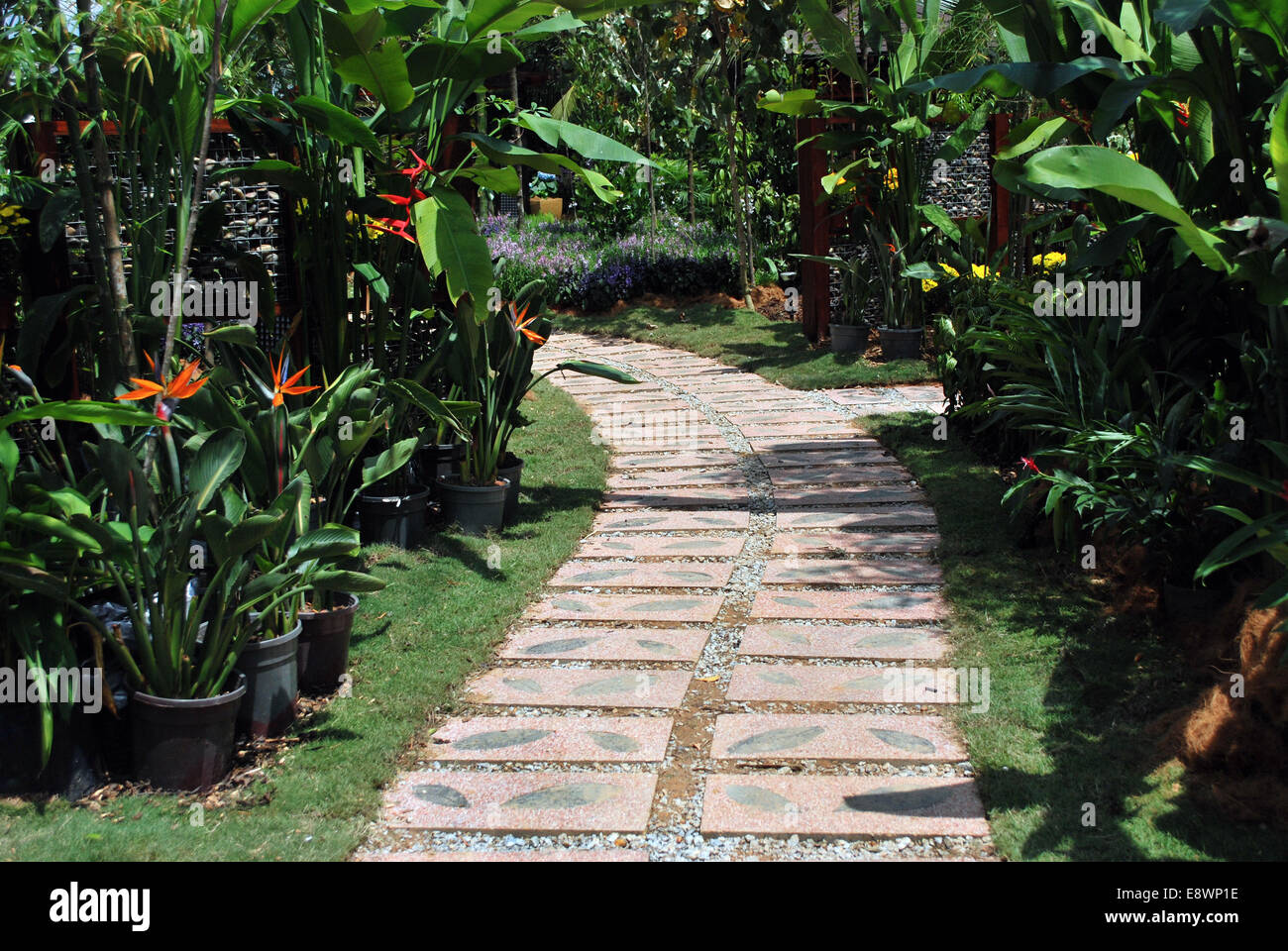 Angelegter Garten Mit Kieselsteinen Und Betonsteine Gehweg