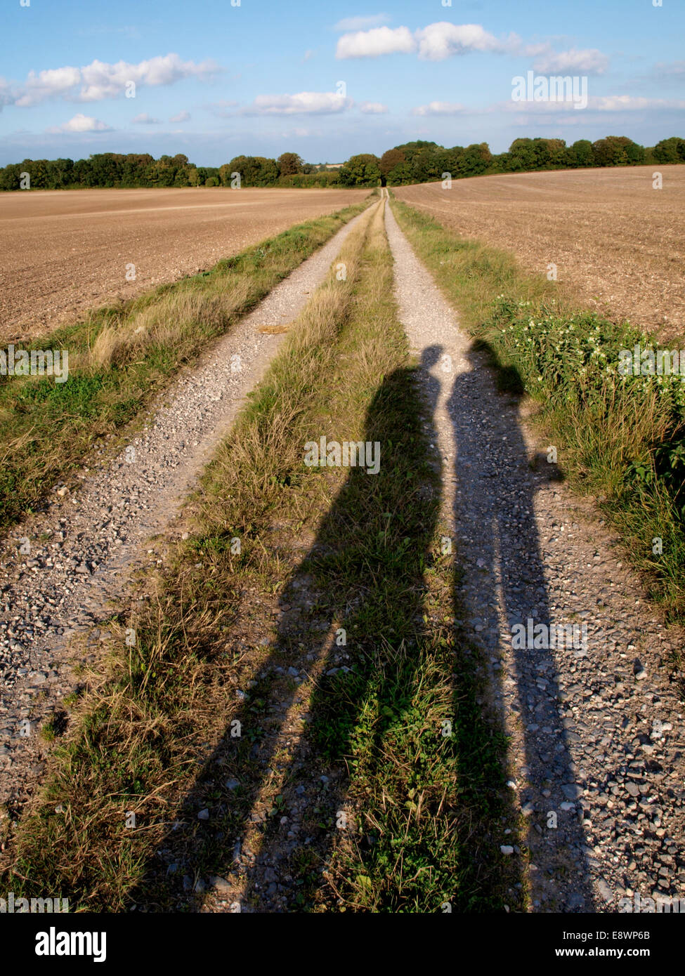Feldweg mit dem Schatten zweier Menschen auf It, Chettle, Dorset, Großbritannien Stockfoto