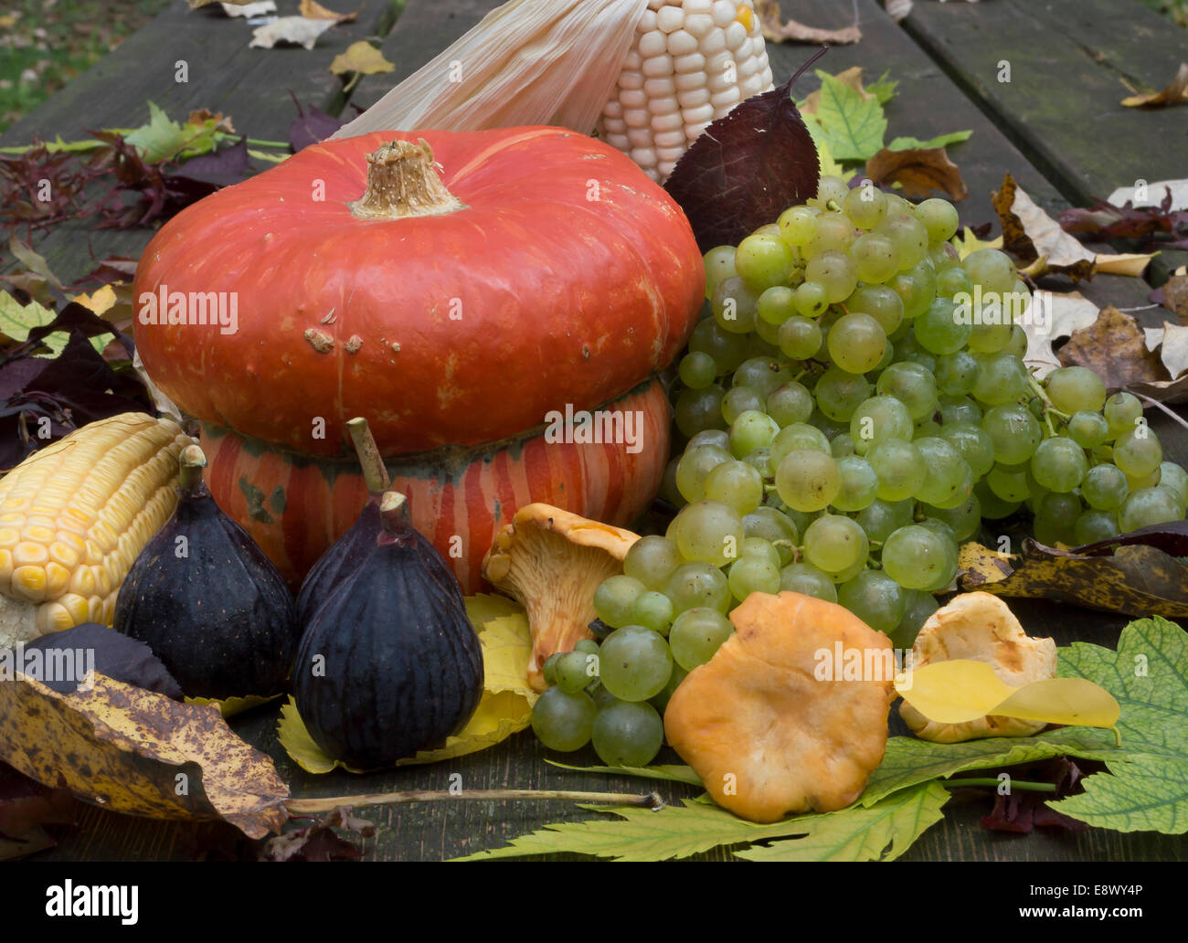 Früchte des Herbst, Kürbis, Feigen, Trauben, Getreide, Pilze und Blätter Stockfoto