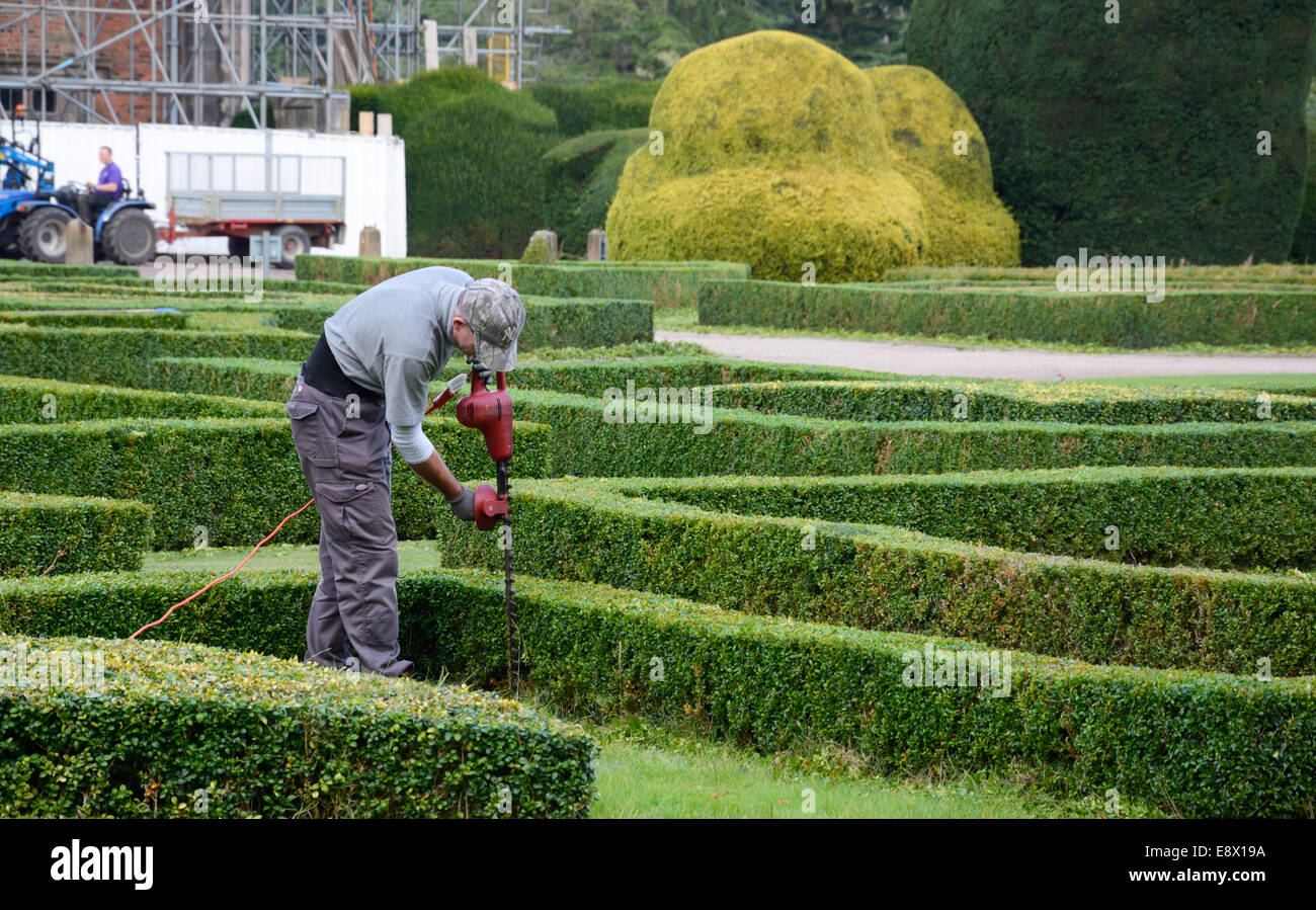 Gärtner schneiden Hecken in Elvaston Hall, Derbyshire, England. Stockfoto