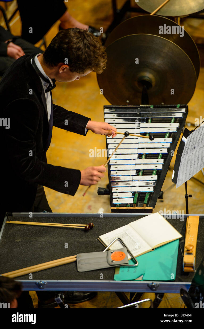 Ein junger Teenager-jungen Musiker spielen das Xylophon in die Schlagzeuggruppe des The London Schulen Symphony Orchestra, erklingt in Aberystwyth MusicFest 2014 Stockfoto