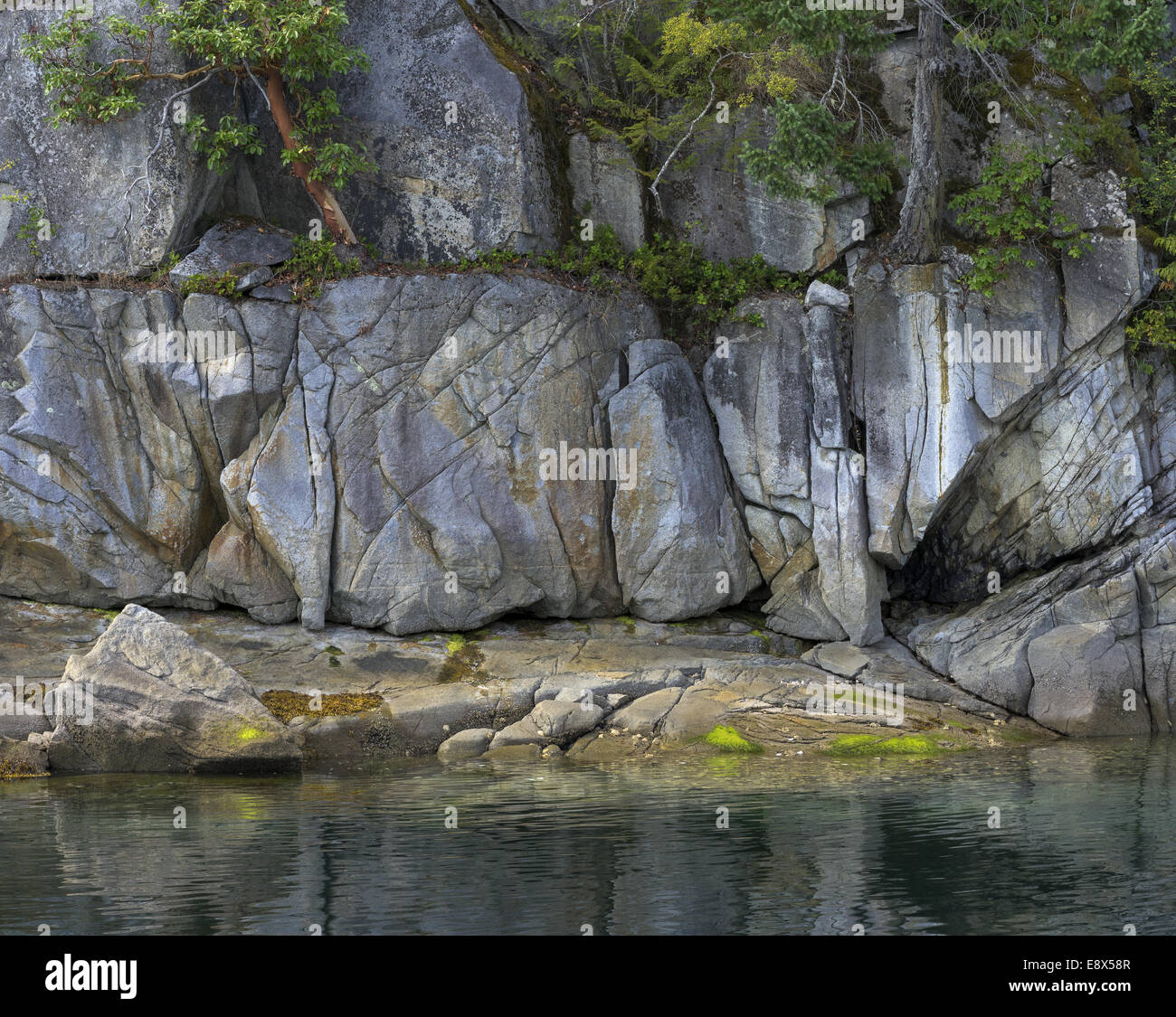 British Columbia, Kanada: Detail der Felswand an Gewässern Rand, Zentrum Kanal Desolation Sound Stockfoto
