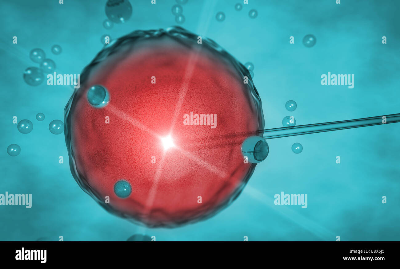 3D Eizelle, künstliche Befruchtung Stockfoto