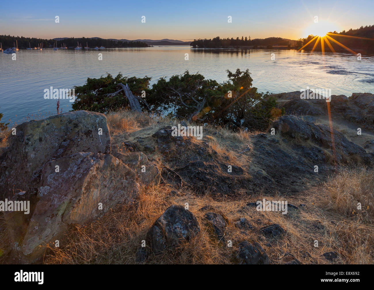 Saturna Island, Britisch-Kolumbien Sonnenuntergang am Winter Cove am Boot Pass, kanadische Gulf Islands Stockfoto