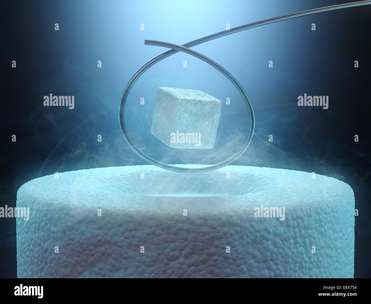 Bild-Konzept der magnetischen schweben über eine Hochtemperatur-Supraleiter, mit flüssigem Stickstoff gekühlt. Stockfoto