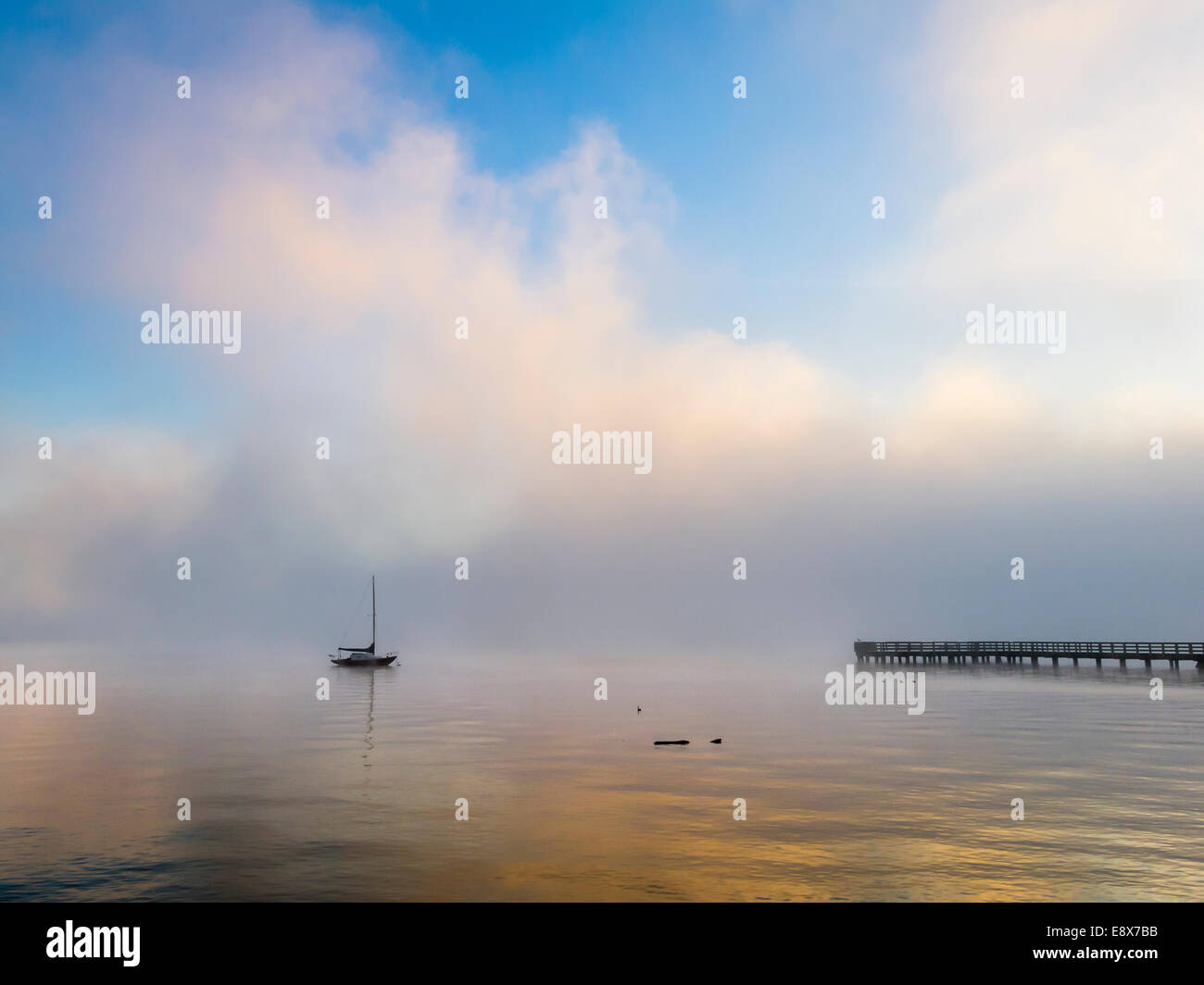 Vashon Island, Washington: Festgemachten Segelboot und Pier in Nebel auf Tramp Harbor löschen Stockfoto