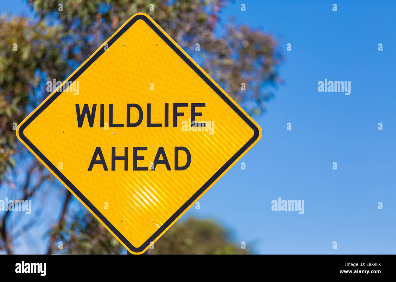 Ein "Wildlife voraus" Zeichen neben einer Fernbedienung Stockfoto
