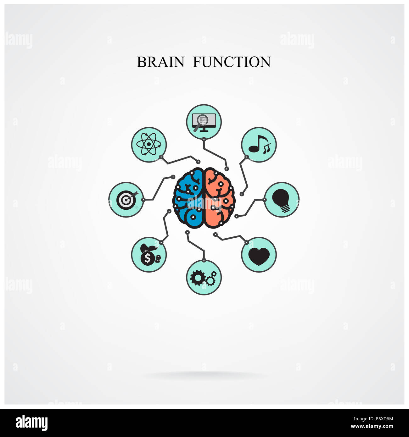 Konzept der Funktion des Gehirns für Bildung und Wissenschaft, Geschäft Zeichen. Stockfoto