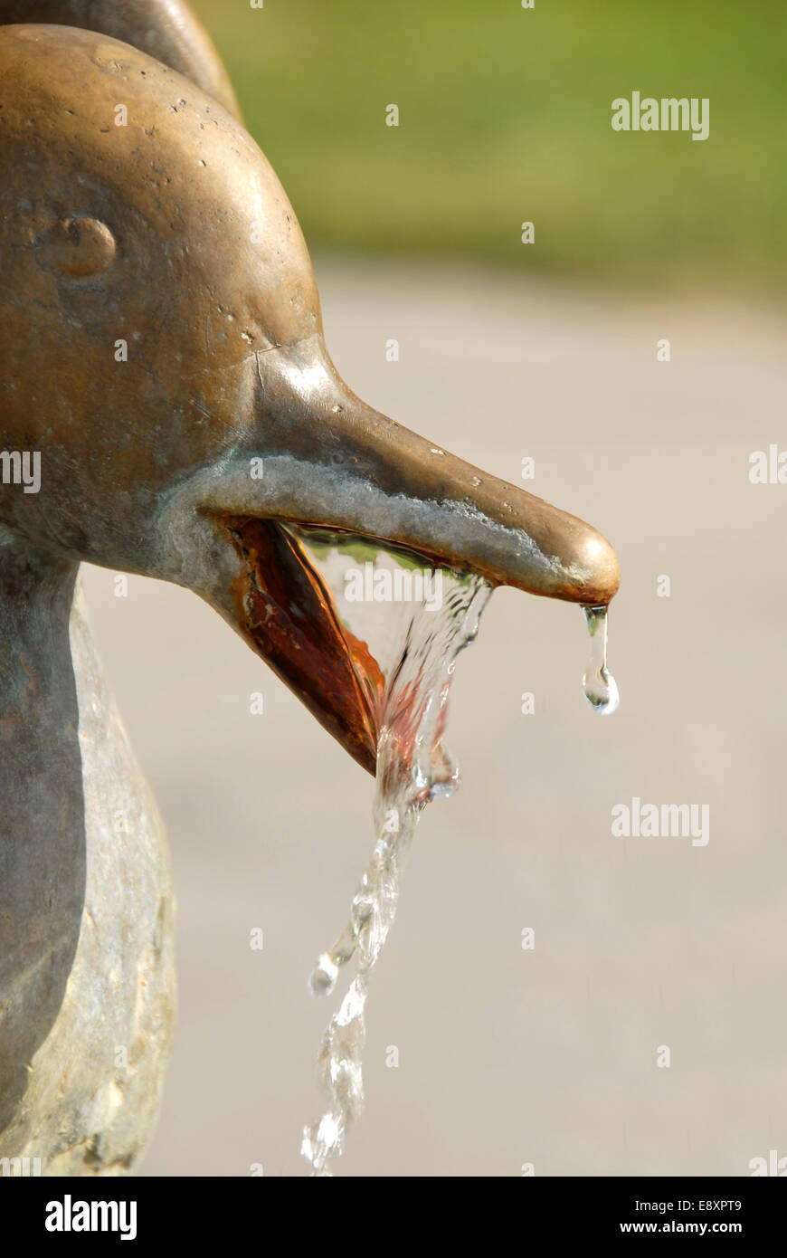 Brunnen-details Stockfoto