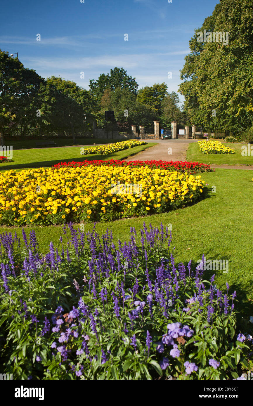 Großbritannien, England, Warwickshire, Warwick, St. Nicholas Park, bunte Blumen Pflanzen Stockfoto