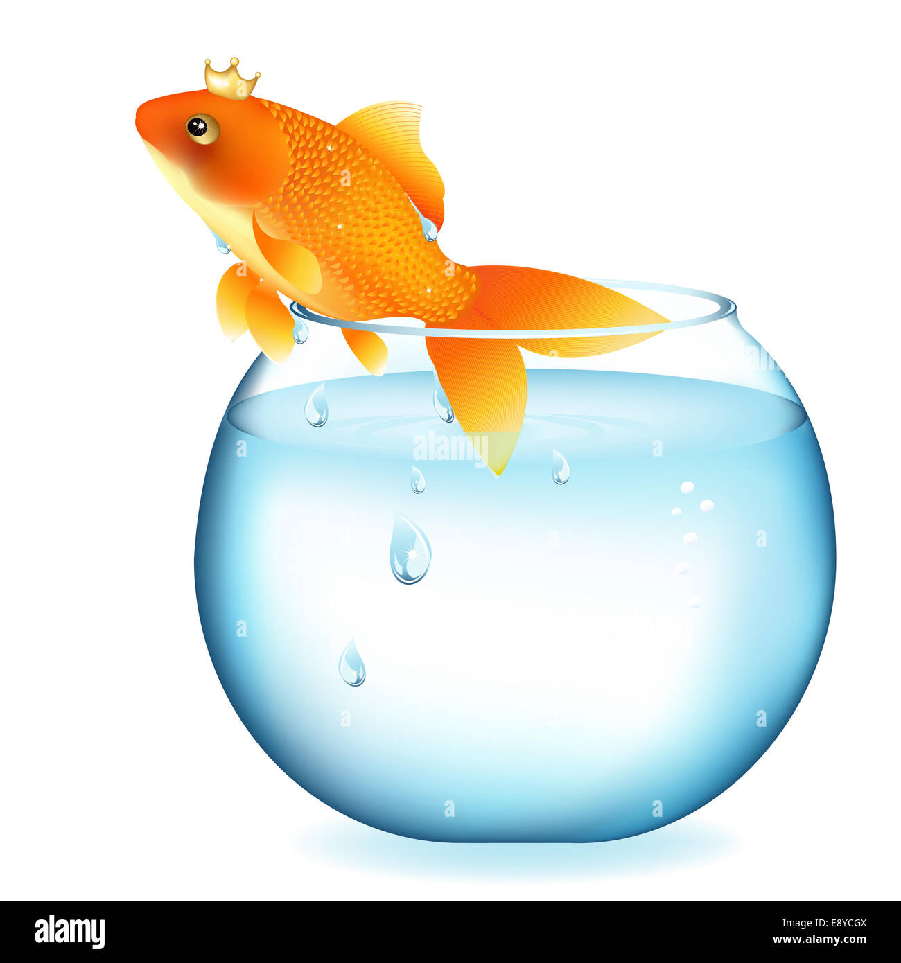 Goldfisch Im Glas Halten Ohne Pumpe Goldfisch im glas illustration -Fotos und -Bildmaterial in hoher