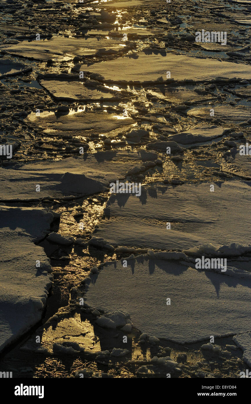 Pfannkuchen-Eis, frühen Stadium der Bildung von Meereis mit Morgenlicht, Ross-Meer, Antarktis Stockfoto