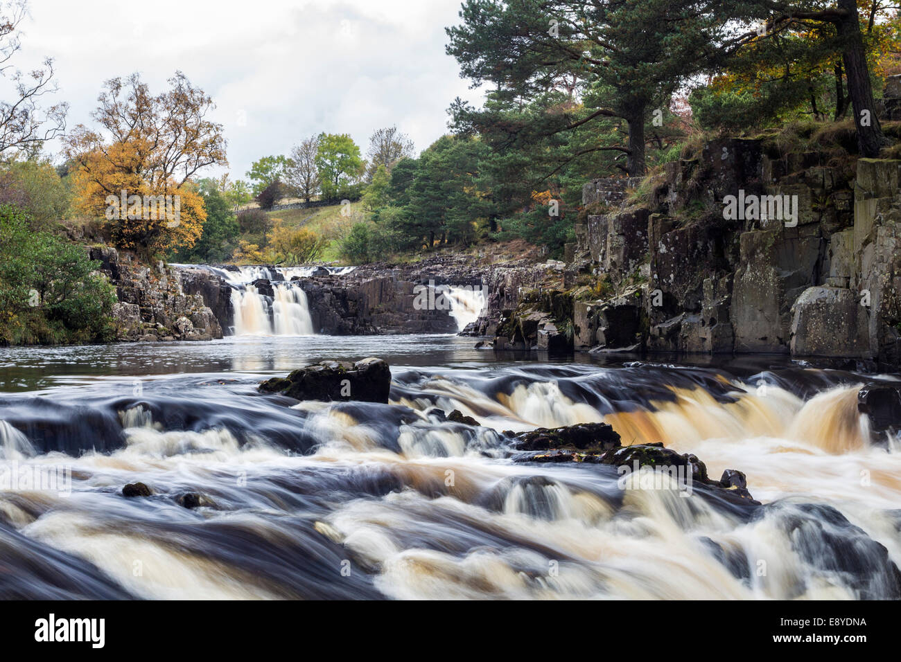 Herbstfärbung bei geringer Kraft auf den Fluss Tees im oberen Teesdale, County Durham UK. Stockfoto