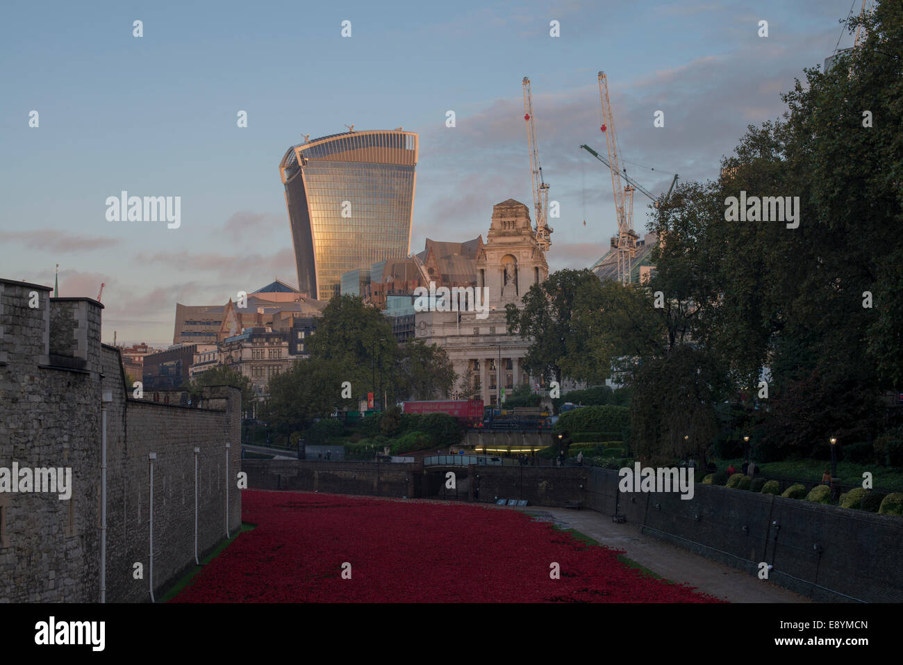 Skyline von London mit Gebäude bekannt als das Walkie Talkie in der Ferne und der roten Mohnblumen in den Vordergrund der Tower of London Stockfoto