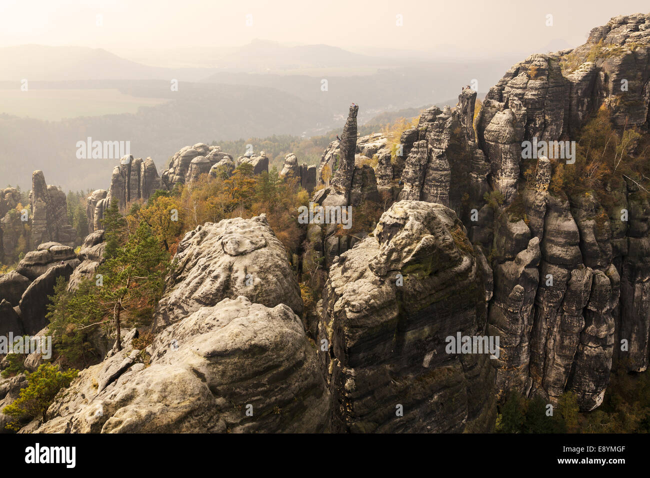Blick auf die Kette Felsen im Elbsandstein Gebirge, sächsischen Schweiz, Sachsen, Deutschland Stockfoto