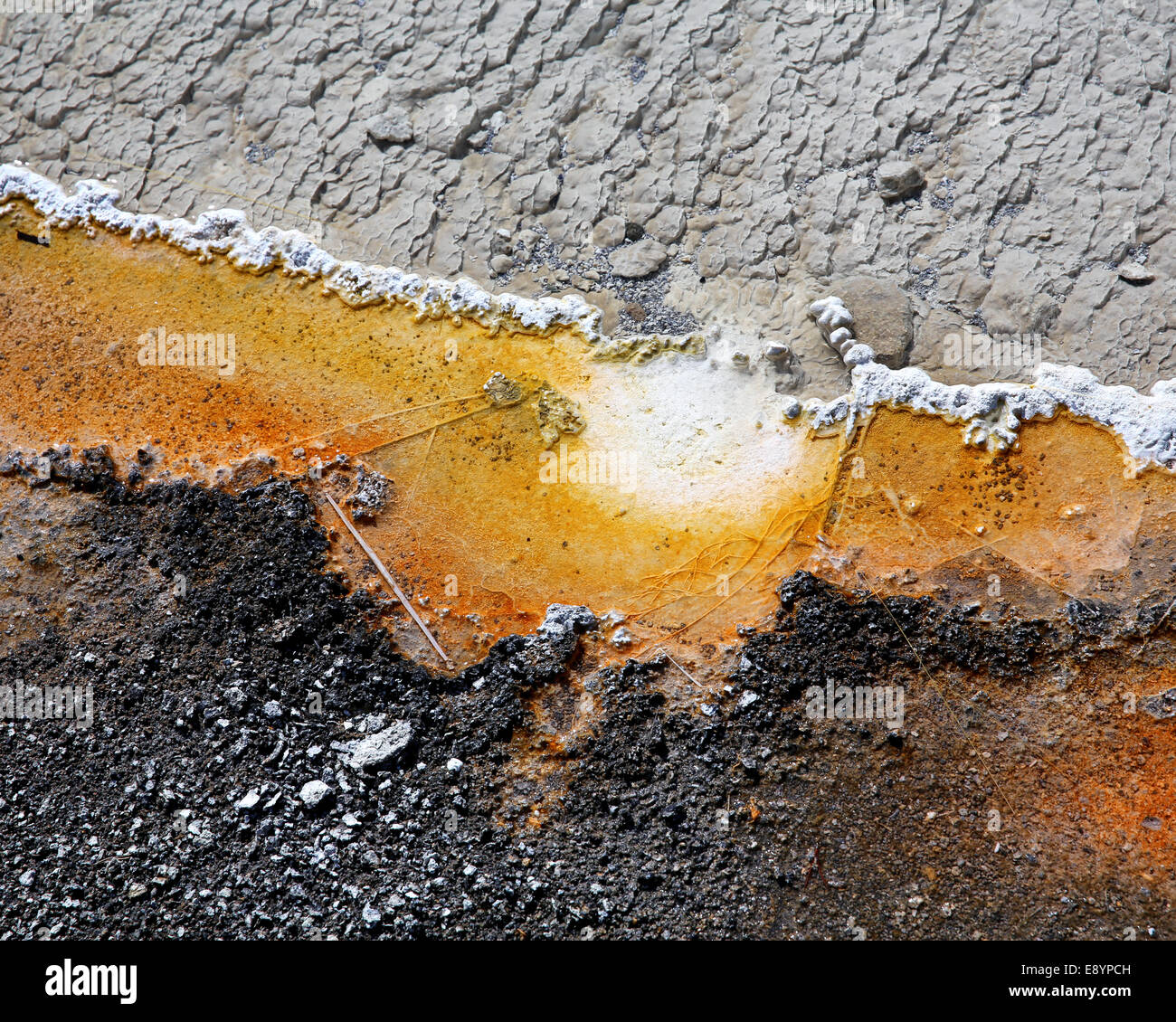 Ein Detail der unterschiedlichen Farben aus thermophilen Bakterienaktivität im Grand Bildobjekte Frühling im Yellowstone Park, USA Stockfoto