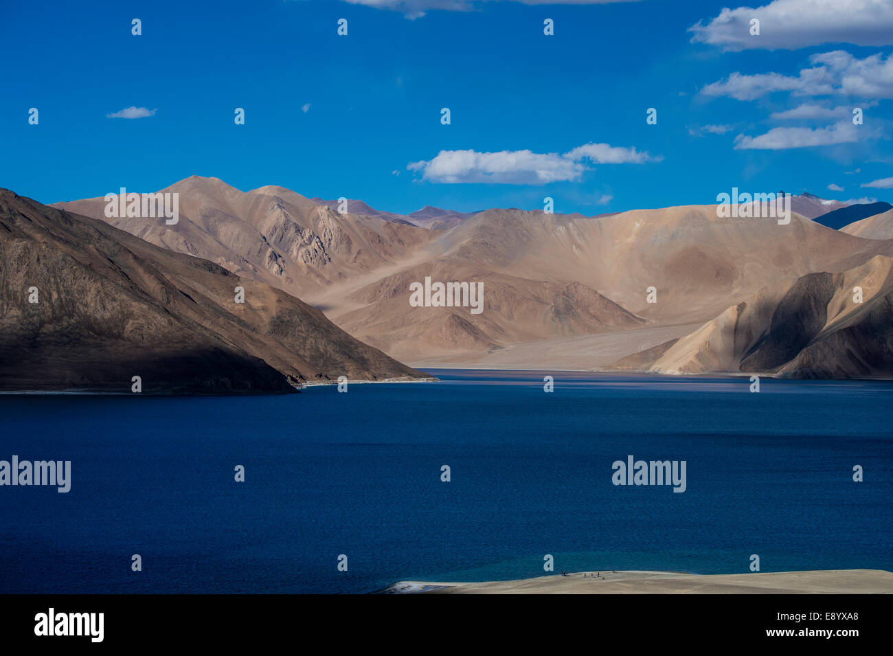 Herrliche Landschaft von Ladakh Stockfoto