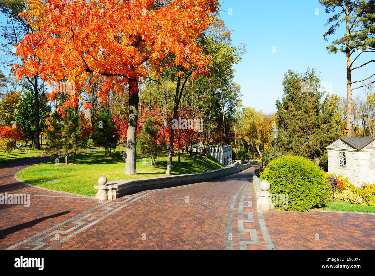 Die Bäume im Herbst Farben in Mezhigirya, Novi Petrivtsi, Ukraine. Es ist die ehemalige Residenz von Ex-Präsident Yanukovich Stockfoto