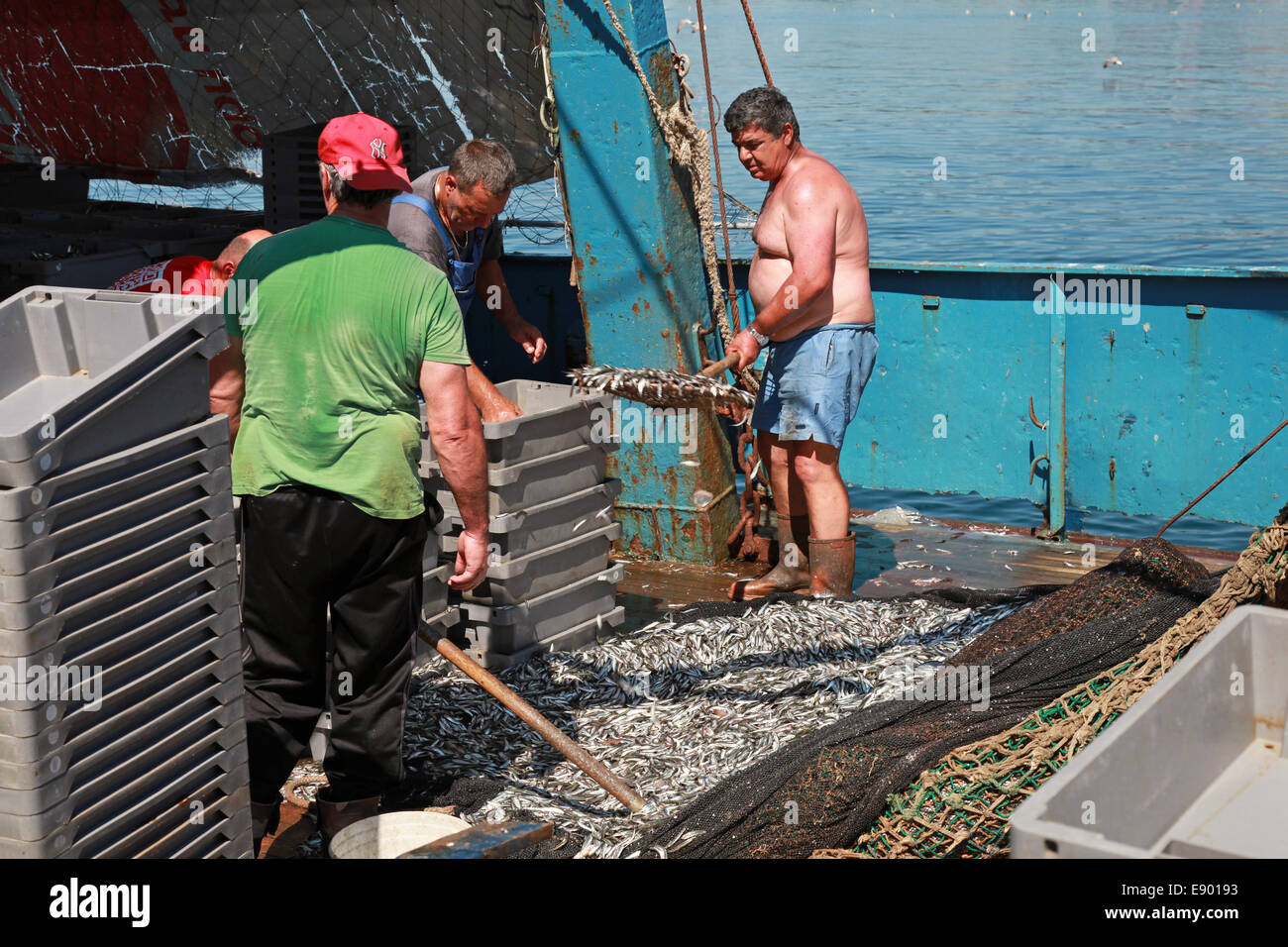NESSEBAR, Bulgarien - 21. Juli 2014: Entladen Fischer den Fang des Sprotte auf kleinen Fischerboot Stockfoto