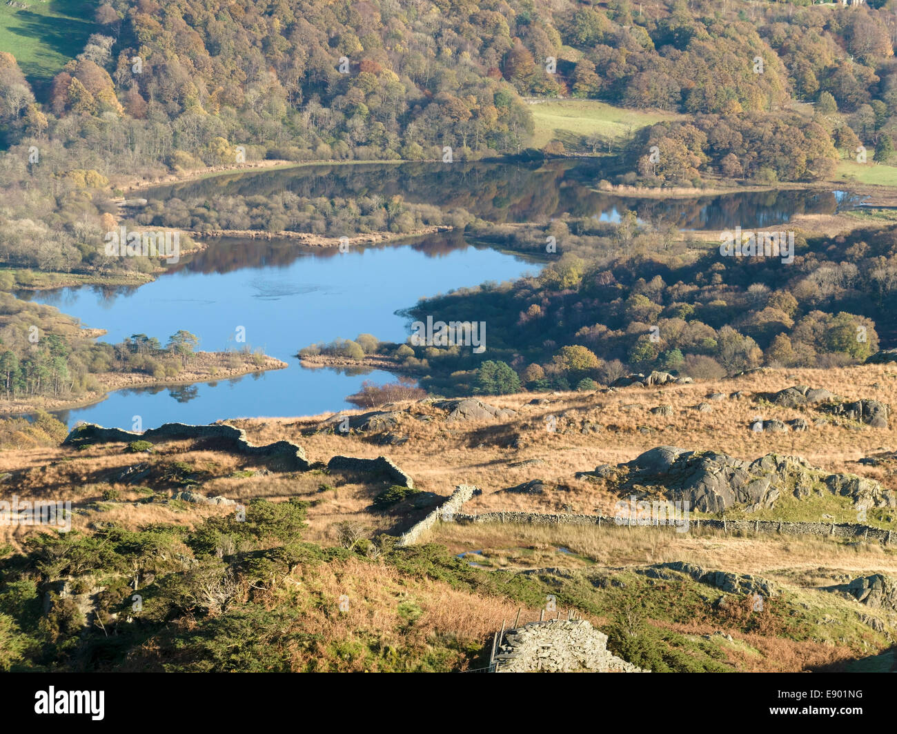 Luftaufnahme Elterwater im englischen Lake District, Cumbria, England, UK. Stockfoto