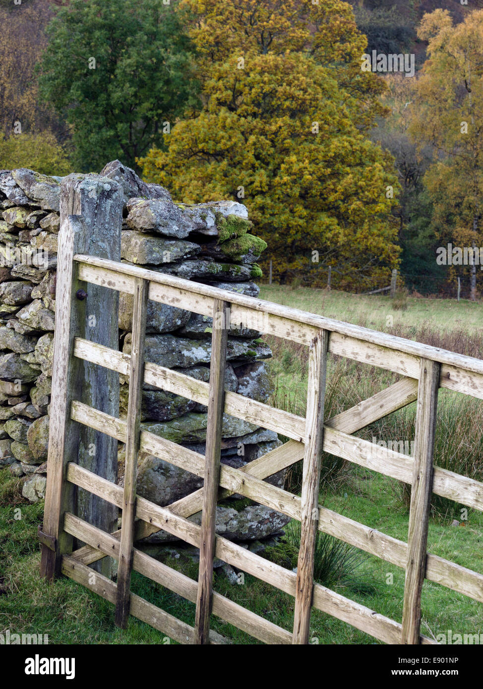 Altes Holztor und trockene Steinmauer, Lake District, Cumbria, England, Großbritannien Stockfoto