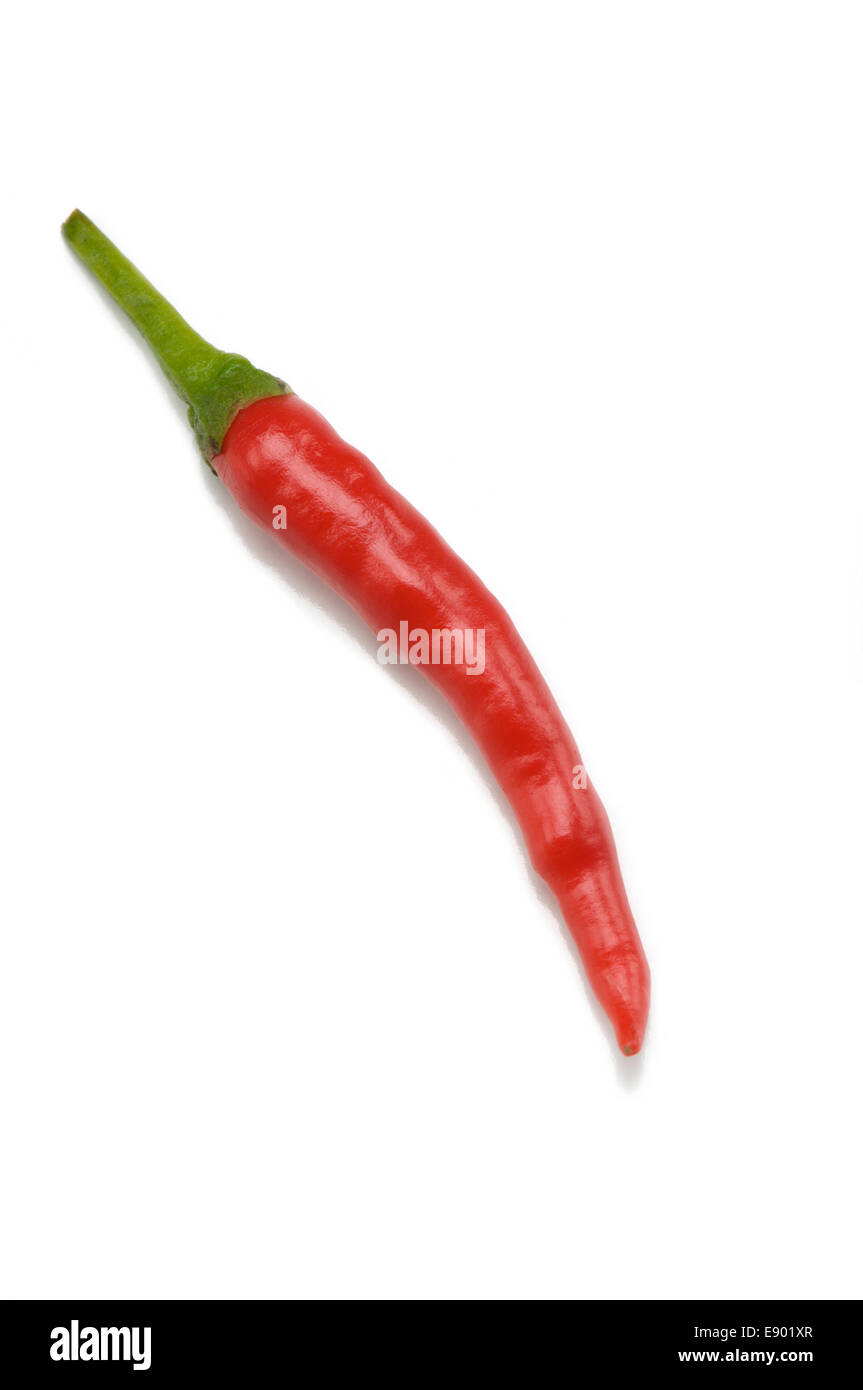 Red Hot Pepper auf weiß Stockfoto