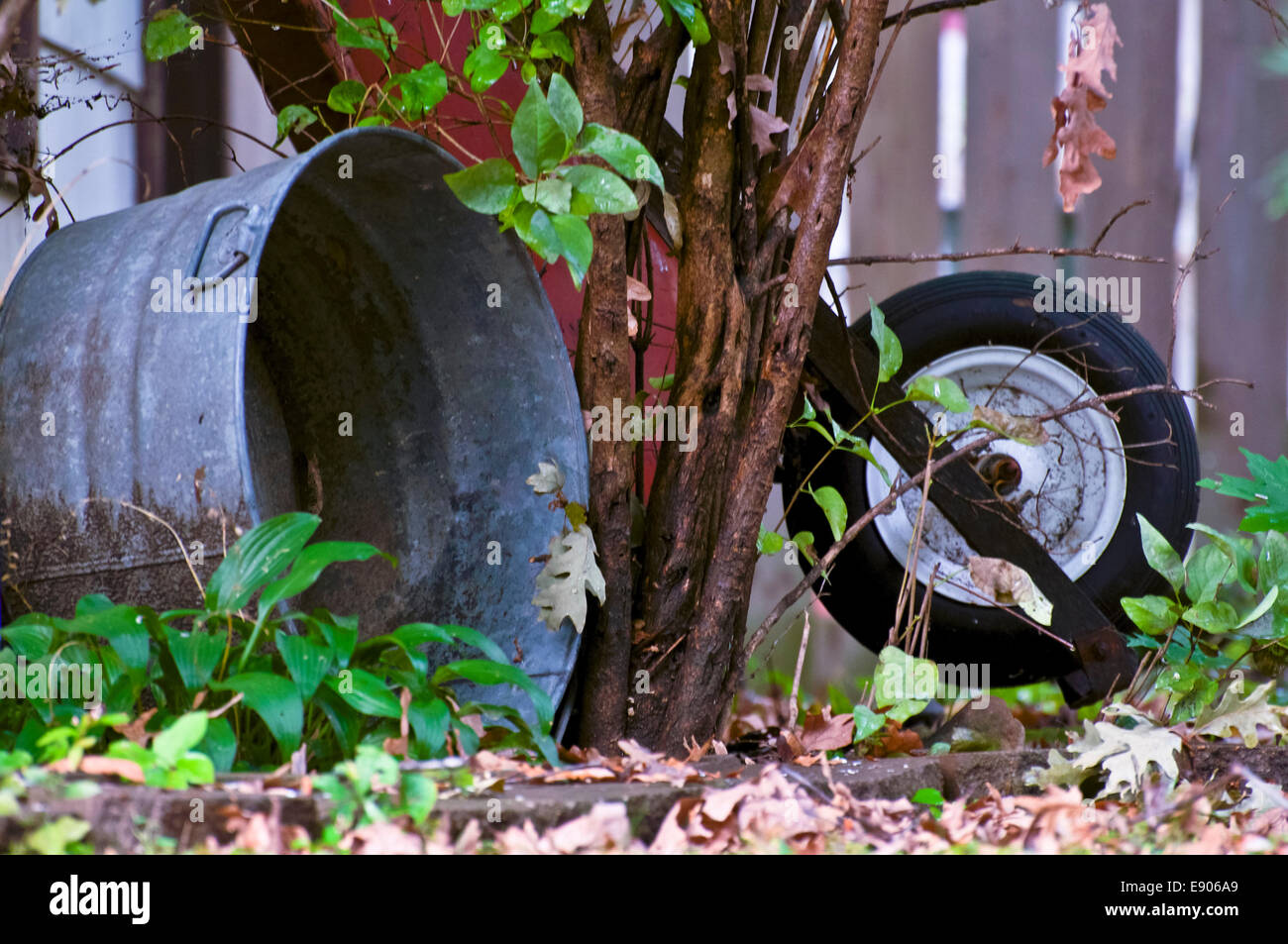 Zinn-Becken und versteckte rote Schubkarre in einem Hof von Herbstlaub. Stockfoto