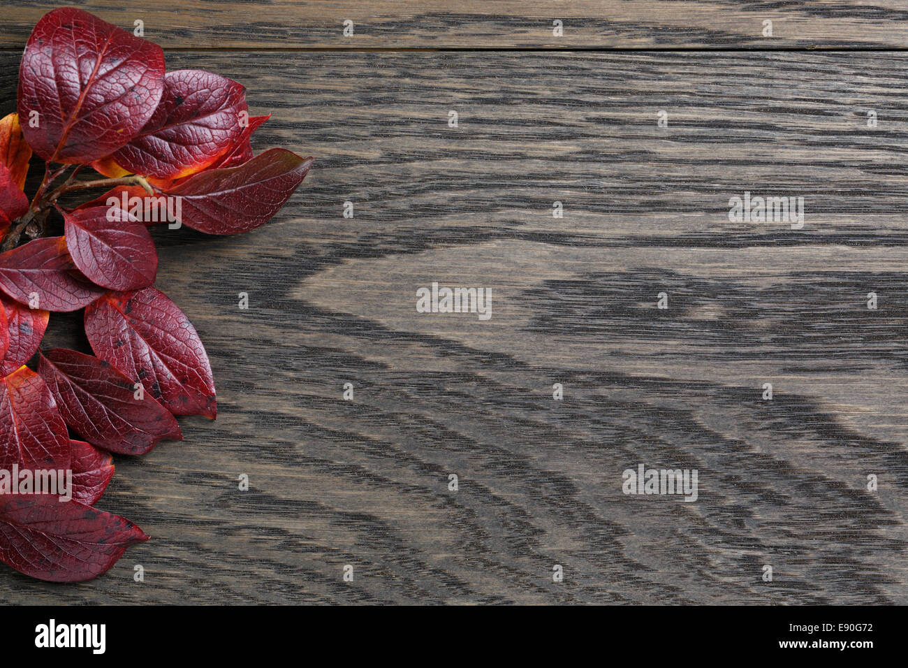 Herbst Hintergrund mit Bush hinterlässt auf gefärbten Eichentisch direkt von oben Stockfoto