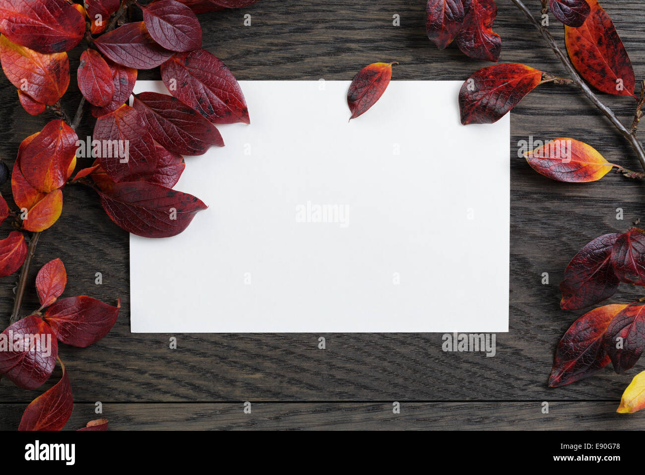 Herbst Hintergrund mit Bush Blätter und Papier-Karte auf alten Tisch, direkt von oben Stockfoto