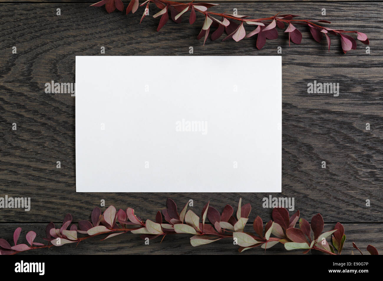 Herbst Hintergrund mit Berberry bush Blätter und Papier-Karte auf alten Tisch, direkt von oben Stockfoto