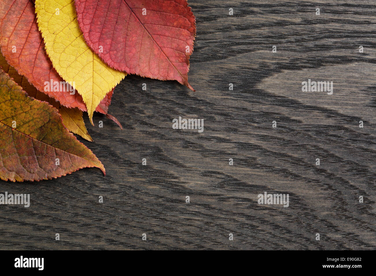 Herbst Kirsche hinterlässt auf alten Eichentisch direkt von oben Stockfoto