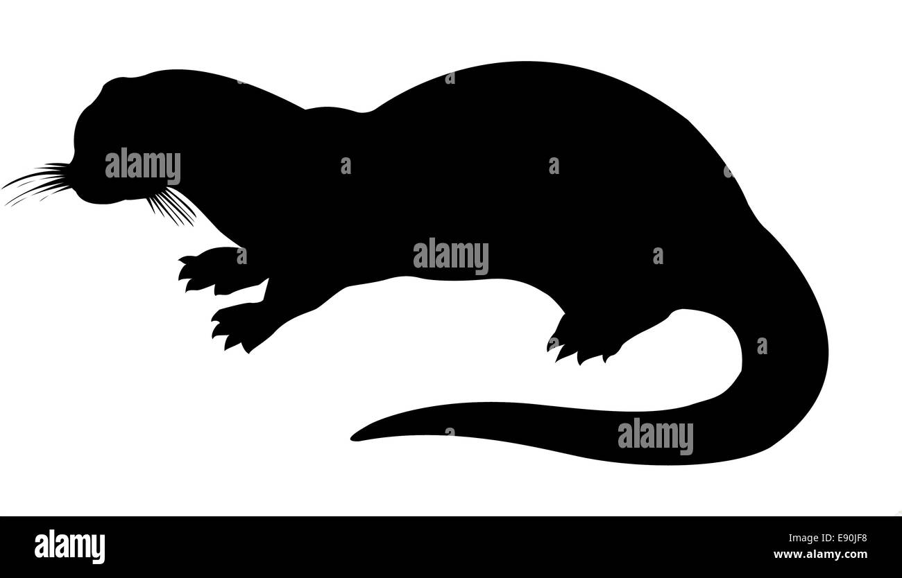 Silhouette Otter auf weißem Hintergrund Stockfoto