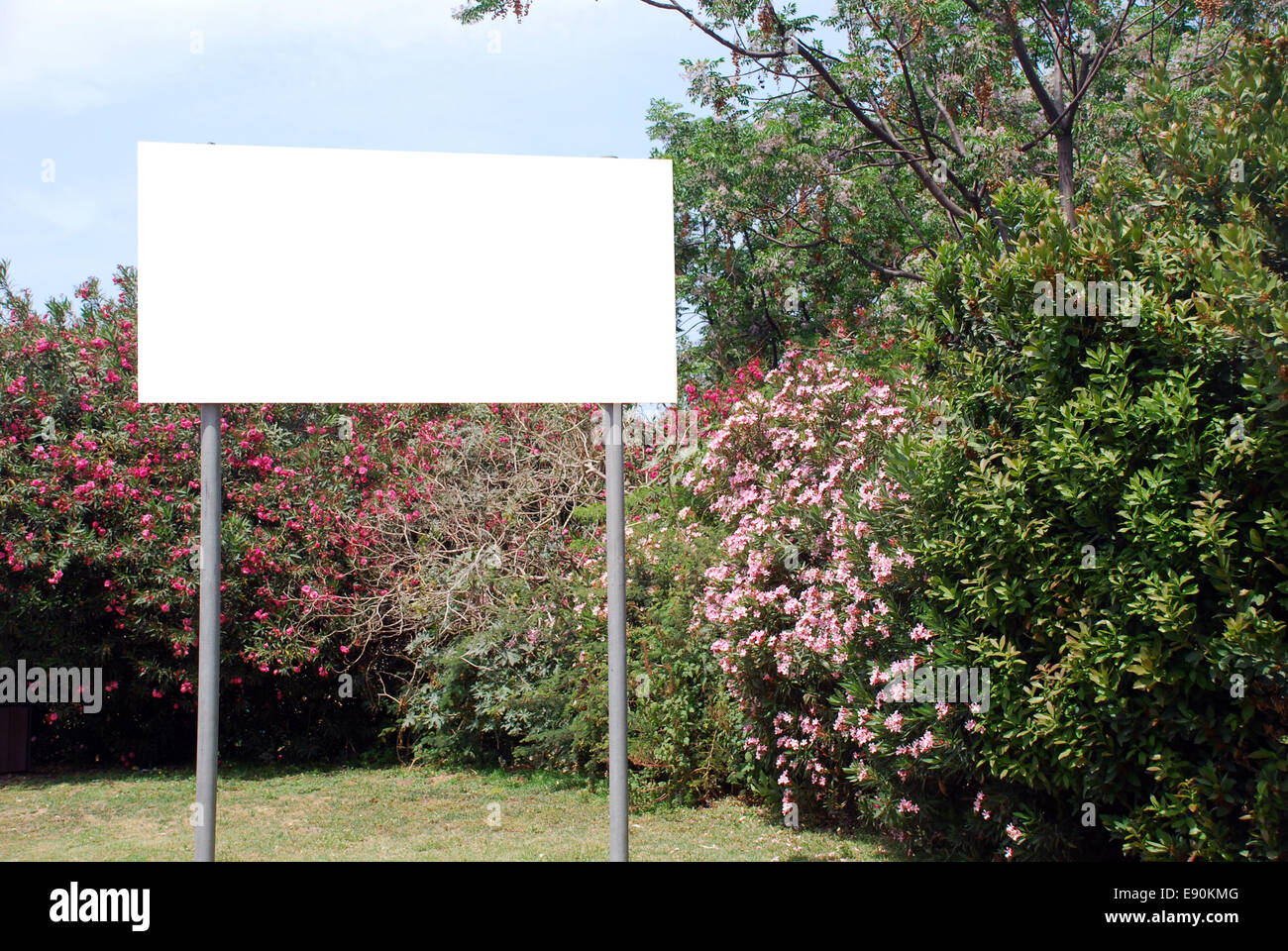 Ein leeres weißes Schild auf einem Mast Stockfoto