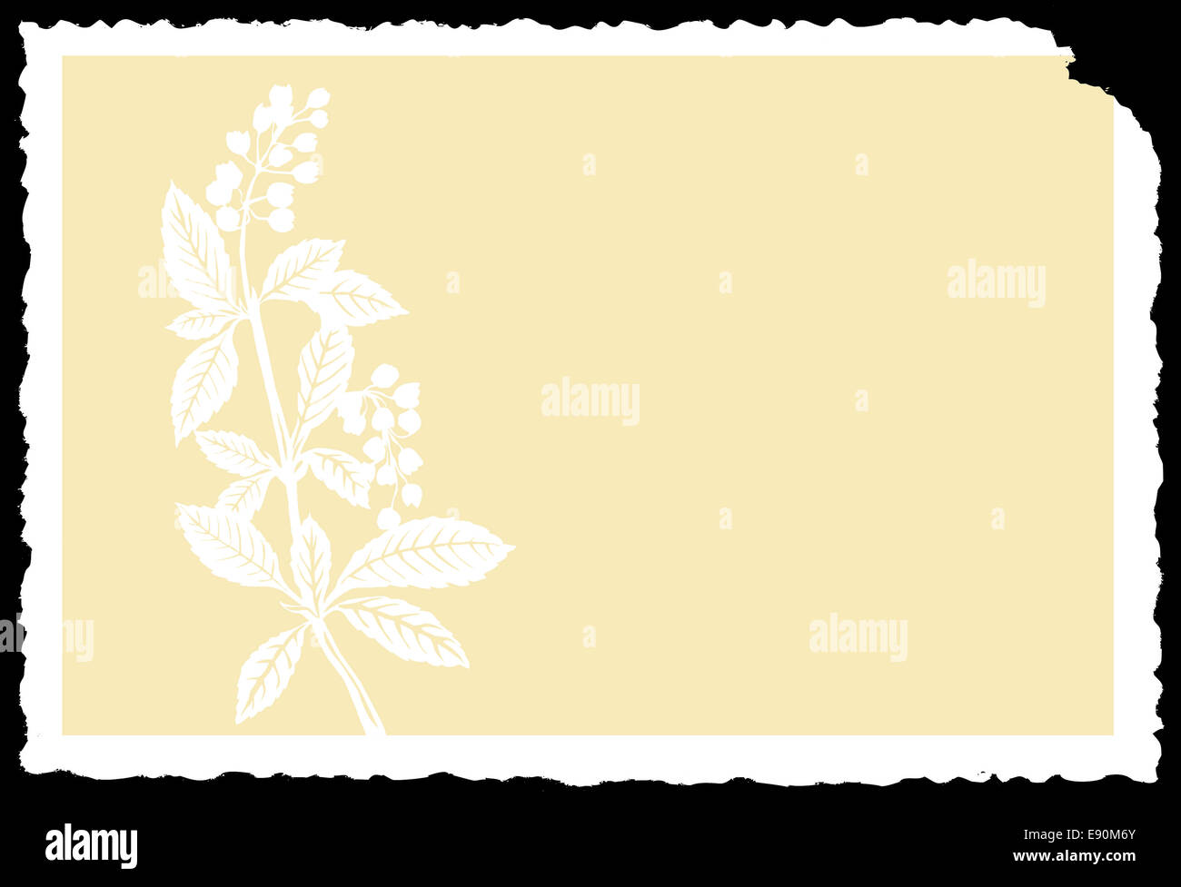 Zeichnung der Anlage auf weißem Papier Stockfoto