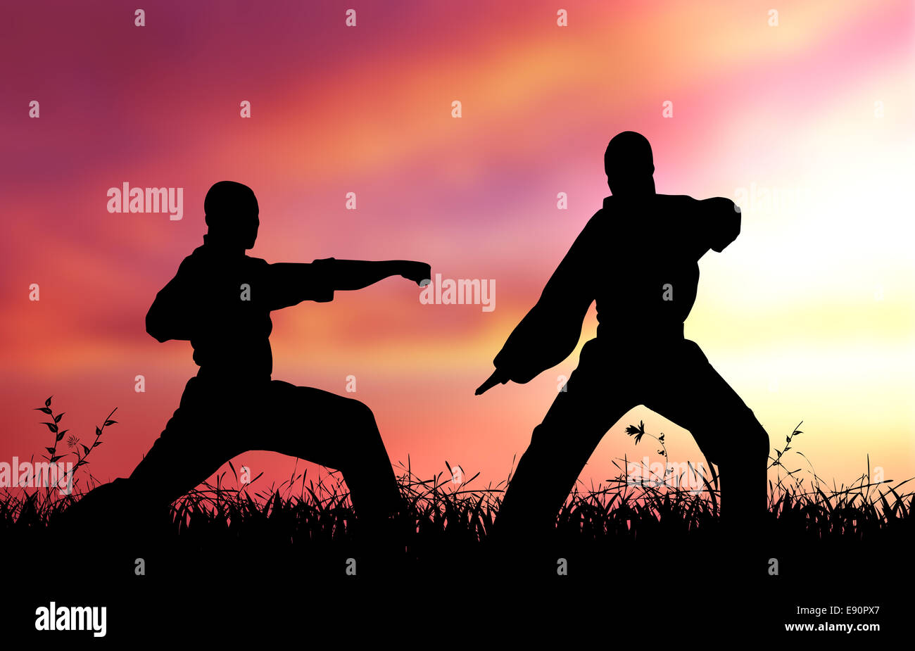 Mixed Martial Künstler Stockfoto